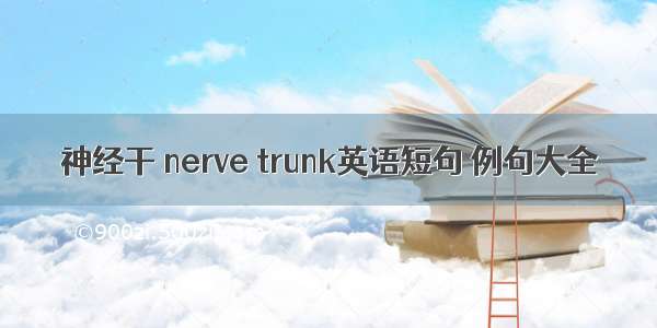 神经干 nerve trunk英语短句 例句大全