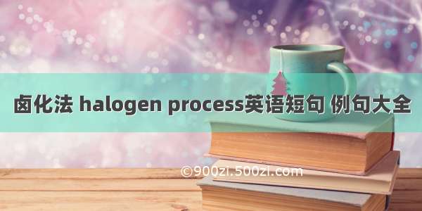 卤化法 halogen process英语短句 例句大全