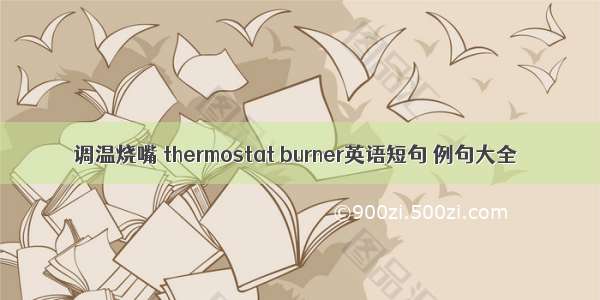 调温烧嘴 thermostat burner英语短句 例句大全