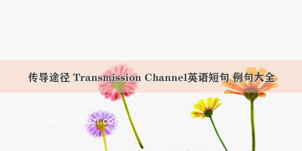 传导途径 Transmission Channel英语短句 例句大全