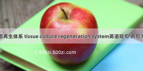 组培再生体系 tissue culture regeneration system英语短句 例句大全