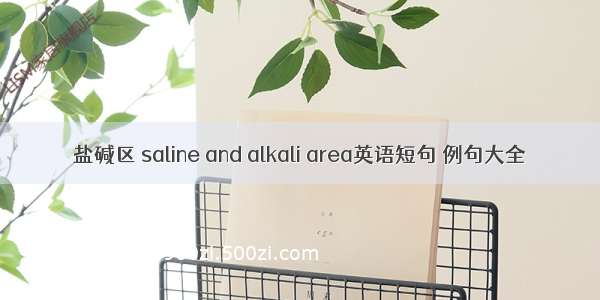 盐碱区 saline and alkali area英语短句 例句大全