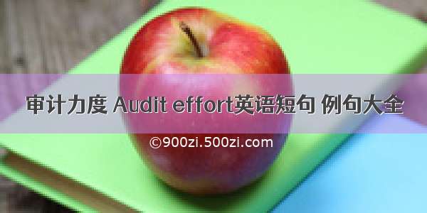 审计力度 Audit effort英语短句 例句大全