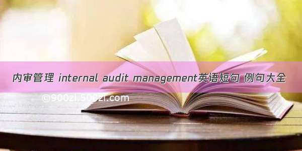 内审管理 internal audit management英语短句 例句大全