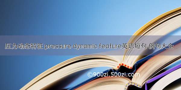 压力动态特征 pressure dynamic feature英语短句 例句大全