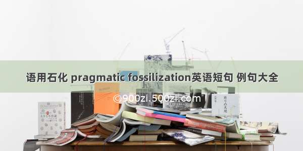 语用石化 pragmatic fossilization英语短句 例句大全