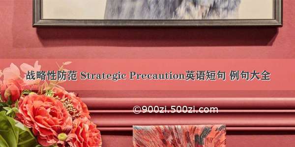 战略性防范 Strategic Precaution英语短句 例句大全