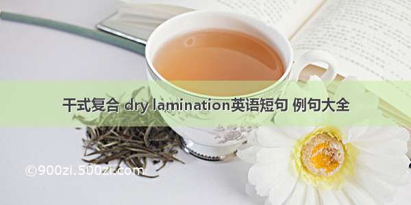 干式复合 dry lamination英语短句 例句大全