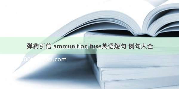 弹药引信 ammunition fuse英语短句 例句大全