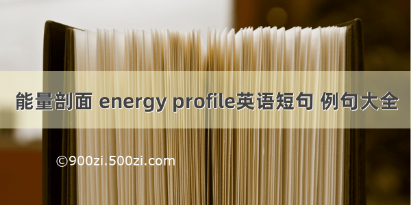 能量剖面 energy profile英语短句 例句大全