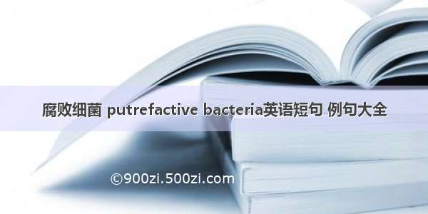 腐败细菌 putrefactive bacteria英语短句 例句大全