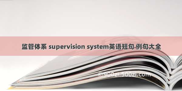 监管体系 supervision system英语短句 例句大全