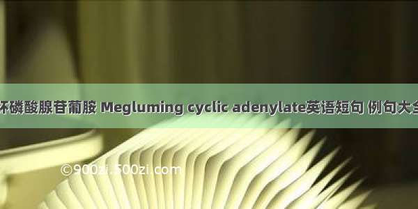 环磷酸腺苷葡胺 Megluming cyclic adenylate英语短句 例句大全