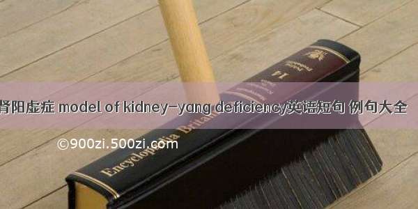 肾阳虚症 model of kidney-yang deficiency英语短句 例句大全