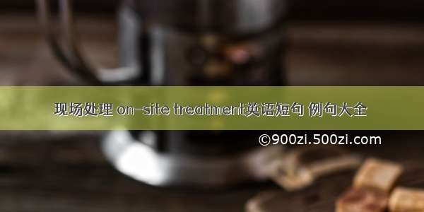 现场处理 on-site treatment英语短句 例句大全