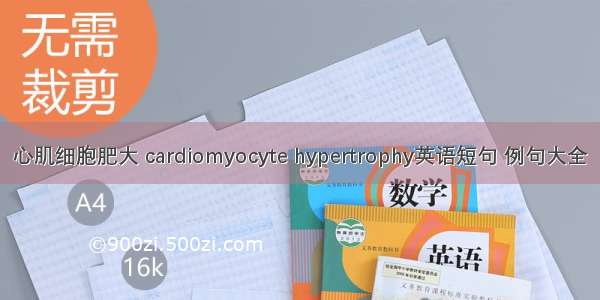 心肌细胞肥大 cardiomyocyte hypertrophy英语短句 例句大全