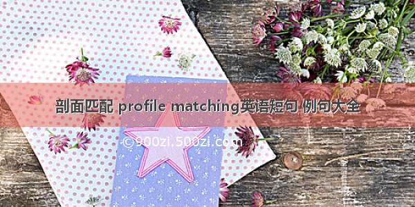 剖面匹配 profile matching英语短句 例句大全