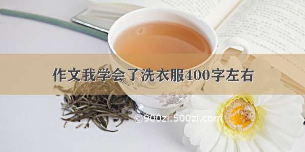 作文我学会了洗衣服400字左右