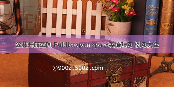 公共开放空间 Public open space英语短句 例句大全