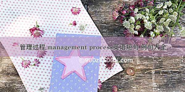 管理过程 management process英语短句 例句大全