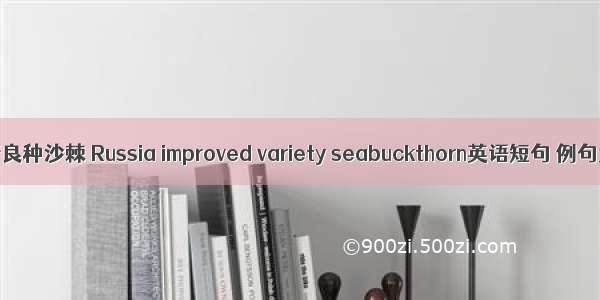 俄罗斯良种沙棘 Russia improved variety seabuckthorn英语短句 例句大全
