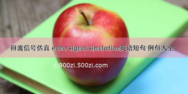 回波信号仿真 echo signal simulation英语短句 例句大全