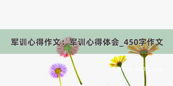 军训心得作文：军训心得体会_450字作文