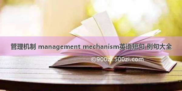 管理机制 management mechanism英语短句 例句大全