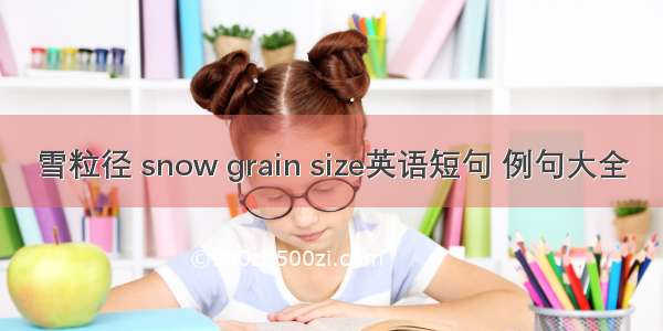 雪粒径 snow grain size英语短句 例句大全