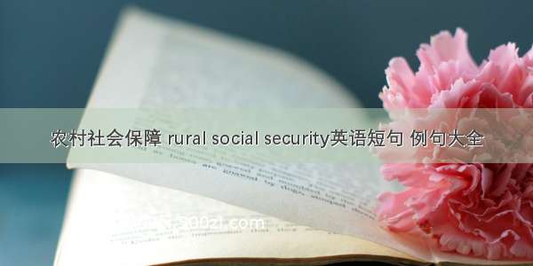农村社会保障 rural social security英语短句 例句大全