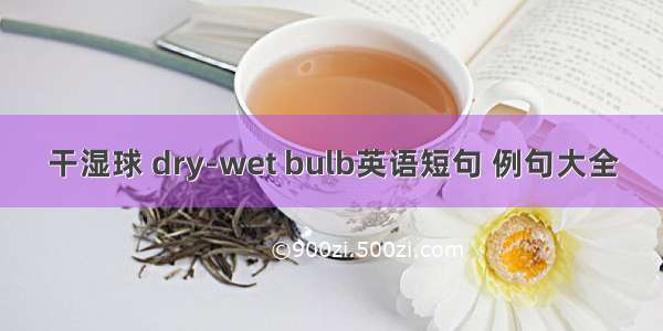 干湿球 dry-wet bulb英语短句 例句大全