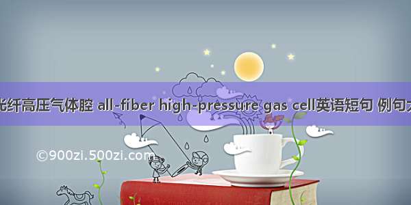 全光纤高压气体腔 all-fiber high-pressure gas cell英语短句 例句大全