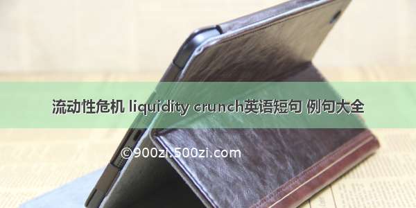 流动性危机 liquidity crunch英语短句 例句大全