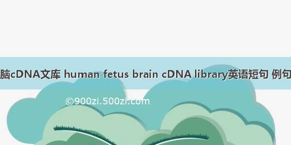 人胎脑cDNA文库 human fetus brain cDNA library英语短句 例句大全