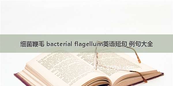 细菌鞭毛 bacterial flagellum英语短句 例句大全