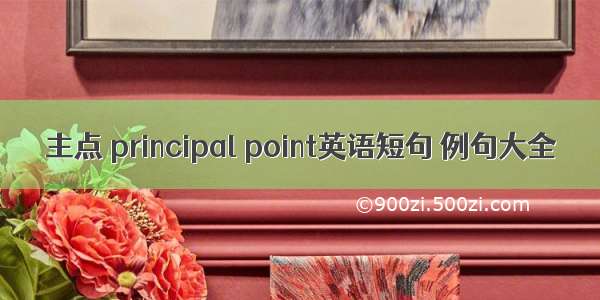 主点 principal point英语短句 例句大全