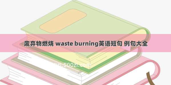 废弃物燃烧 waste burning英语短句 例句大全