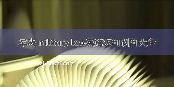 军法 military law英语短句 例句大全