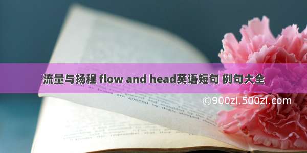 流量与扬程 flow and head英语短句 例句大全