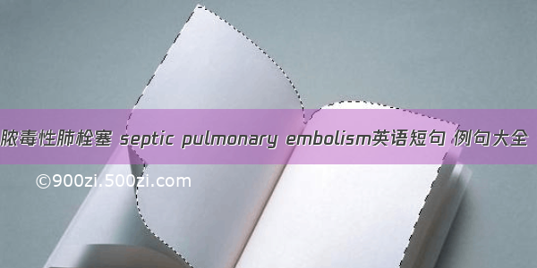 脓毒性肺栓塞 septic pulmonary embolism英语短句 例句大全