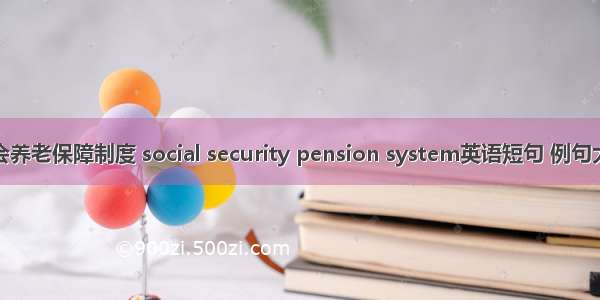 社会养老保障制度 social security pension system英语短句 例句大全