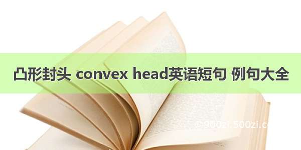 凸形封头 convex head英语短句 例句大全