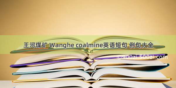 王河煤矿 Wanghe coalmine英语短句 例句大全
