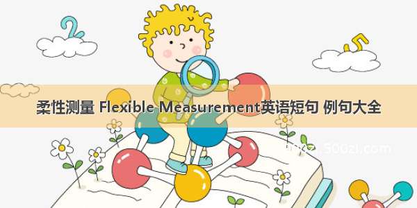 柔性测量 Flexible Measurement英语短句 例句大全