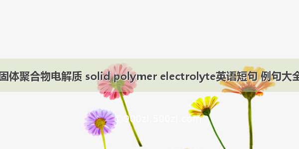 固体聚合物电解质 solid polymer electrolyte英语短句 例句大全