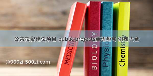 公共投资建设项目 public projects英语短句 例句大全