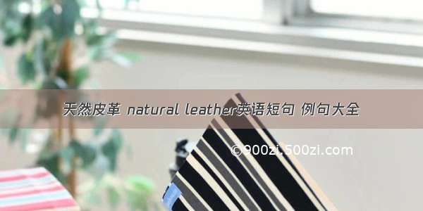 天然皮革 natural leather英语短句 例句大全