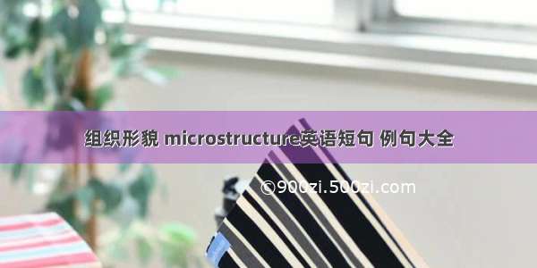 组织形貌 microstructure英语短句 例句大全