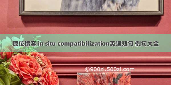 原位增容 in situ compatibilization英语短句 例句大全