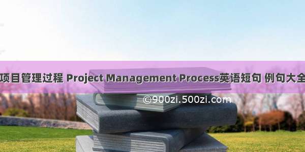 项目管理过程 Project Management Process英语短句 例句大全